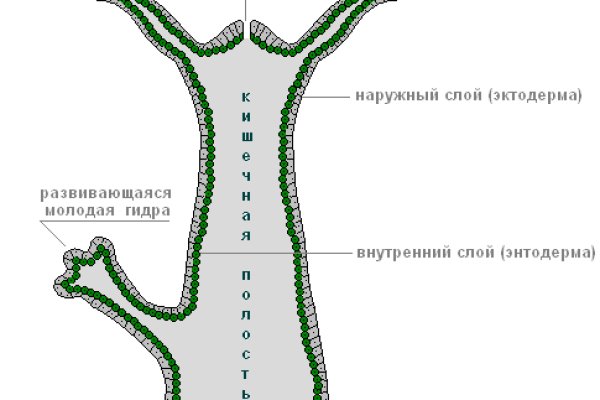 Тор браузер blacksprut bs2web top