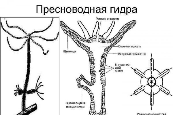 Рабочая blacksprut