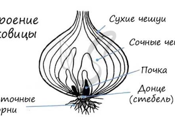 Не работает сайт блэкспрут